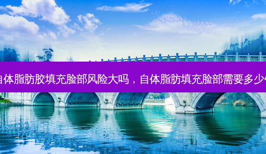 自体脂肪胶填充脸部风险大吗，自体脂肪填充脸部需要多少钱-第1张图片-容颜讯