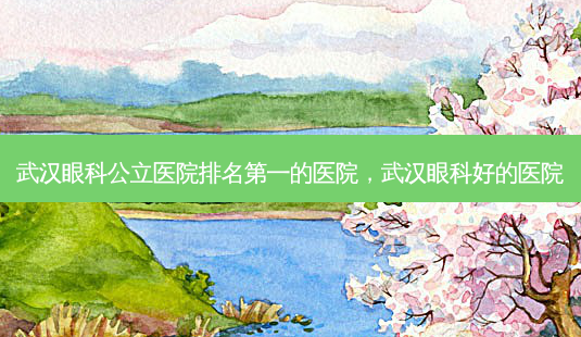 武汉眼科公立医院的医院，武汉眼科好的医院-第1张图片-容颜讯