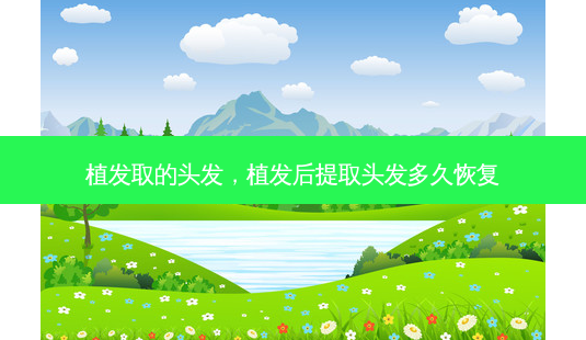 植发取的头发,植发后提取头发多久恢复-第1张图片-容颜讯 植发取的头发,植发后提取头发多久恢复-第1张图片-容颜讯