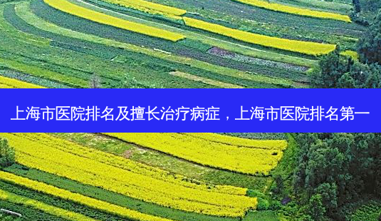 上海市医院排名及擅长病症,上海市医院-第1张图片-容颜讯 上海市医院排名及擅长病症,上海市医院-第1张图片-容颜讯