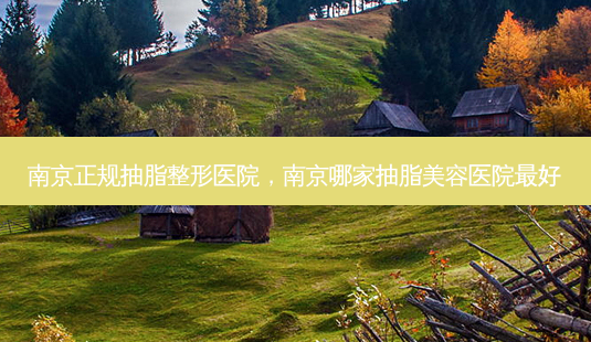 南京正规抽脂整形医院，南京哪家抽脂美容医院好-第1张图片-容颜讯
