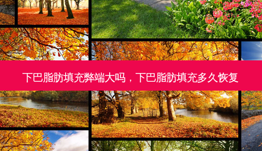 下巴脂肪填充弊端大吗，下巴脂肪填充多久恢复-第1张图片-容颜讯