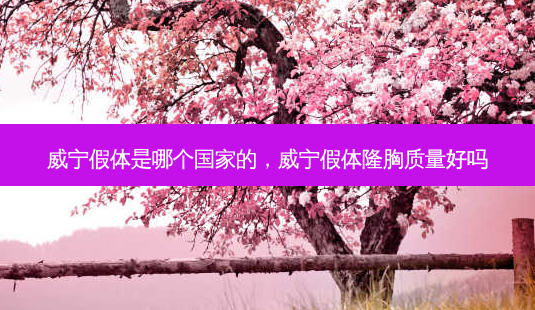 威宁假体是哪个国家的，威宁假体隆胸质量好吗-第1张图片-容颜讯