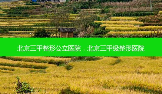 北京三甲整形公立医院,北京三甲级整形医院-第1张图片-容颜讯 北京三甲整形公立医院,北京三甲级整形医院-第1张图片-容颜讯