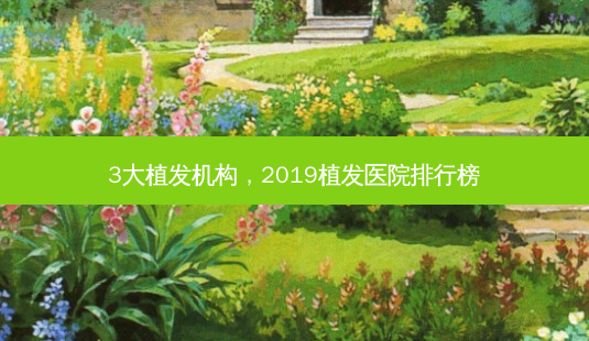 3大植发机构,2019植发医院排行榜-第1张图片-容颜讯 3大植发机构,2019植发医院排行榜-第1张图片-容颜讯