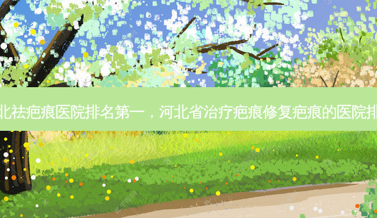 河北祛疤痕医院，河北省疤痕修复疤痕的医院排名-第1张图片-容颜讯