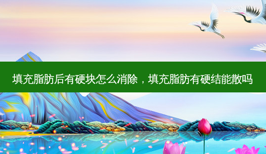 填充脂肪后有硬块怎么消除,填充脂肪有硬结能散吗-第1张图片-容颜讯 填充脂肪后有硬块怎么消除,填充脂肪有硬结能散吗-第1张图片-容颜讯