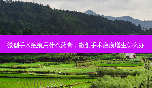 微创手术疤痕用什么药膏,微创手术疤痕增生怎么办-第1张图片-容颜讯 微创手术疤痕用什么药膏,微创手术疤痕增生怎么办-第1张图片-容颜讯