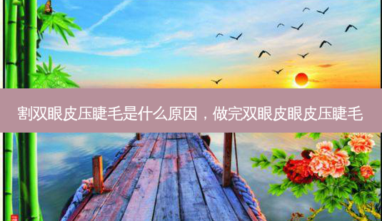割双眼皮压睫毛是什么原因，做完双眼皮眼皮压睫毛-第1张图片-容颜讯