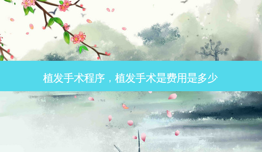 植发手术程序,植发手术是费用是多少-第1张图片-容颜讯 植发手术程序,植发手术是费用是多少-第1张图片-容颜讯
