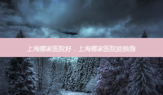 上海哪家医院好,上海哪家医院能抽脂-第1张图片-容颜讯 上海哪家医院好,上海哪家医院能抽脂-第1张图片-容颜讯