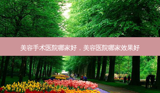 美容手术医院哪家好,美容医院哪家效果好-第1张图片-容颜讯 美容手术医院哪家好,美容医院哪家效果好-第1张图片-容颜讯
