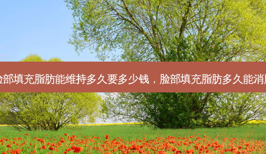 脸部填充脂肪能维持多久要多少钱，脸部填充脂肪多久能消肿-第1张图片-容颜讯