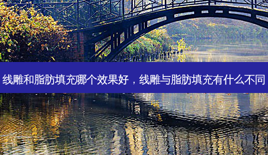 线雕和脂肪填充哪个效果好，线雕与脂肪填充有什么不同-第1张图片-容颜讯
