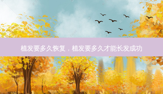 植发要多久恢复,植发要多久才能长发成功-第1张图片-容颜讯 植发要多久恢复,植发要多久才能长发成功-第1张图片-容颜讯