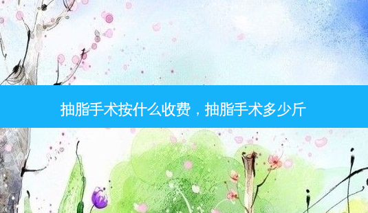 抽脂手术按什么收费，抽脂手术多少斤-第1张图片-容颜讯