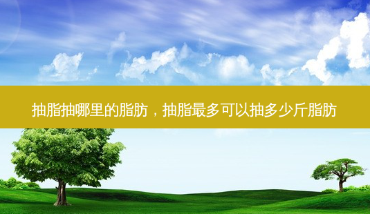 抽脂抽哪里的脂肪,抽脂多可以抽多少斤脂肪-第1张图片-容颜讯 抽脂抽哪里的脂肪,抽脂多可以抽多少斤脂肪-第1张图片-容颜讯