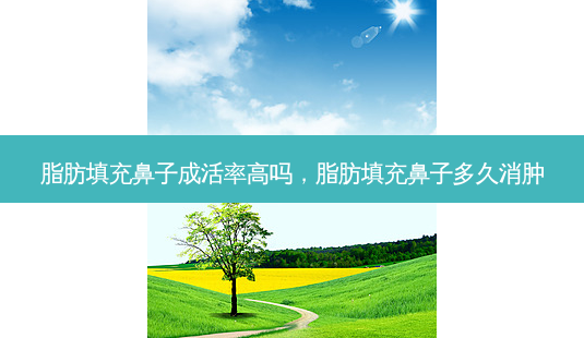 脂肪填充鼻子成活率高吗,脂肪填充鼻子多久消肿-第1张图片-容颜讯 脂肪填充鼻子成活率高吗,脂肪填充鼻子多久消肿-第1张图片-容颜讯