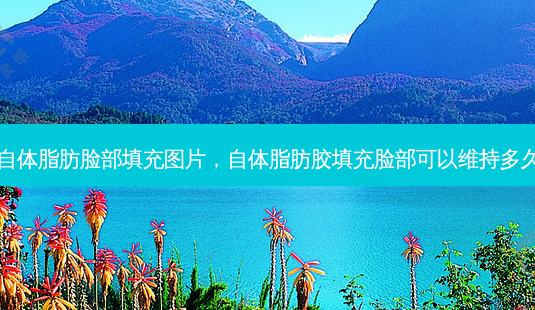 自体脂肪脸部填充图片，自体脂肪胶填充脸部可以维持多久-第1张图片-容颜讯