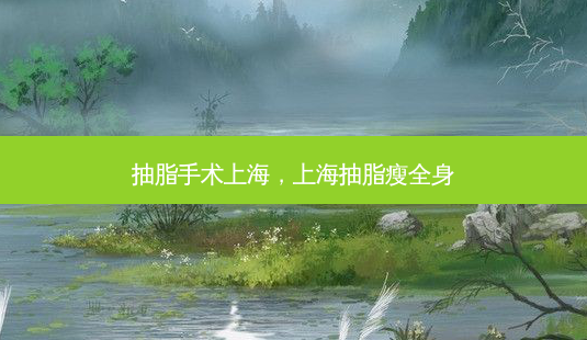 抽脂手术上海，上海抽脂瘦全身-第1张图片-容颜讯