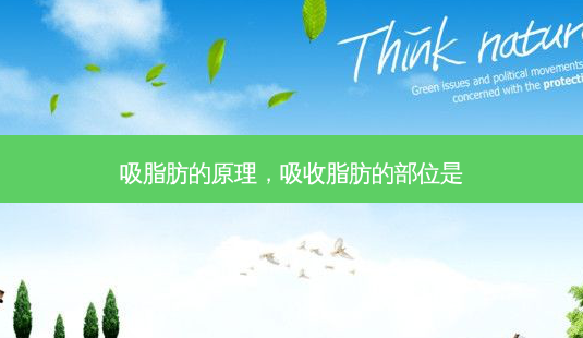 吸脂肪的原理，吸收脂肪的部位是-第1张图片-容颜讯