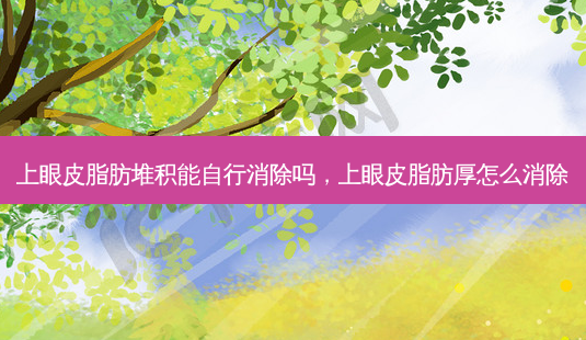 上眼皮脂肪堆积能自行消除吗,上眼皮脂肪厚怎么消除-第1张图片-容颜讯 上眼皮脂肪堆积能自行消除吗,上眼皮脂肪厚怎么消除-第1张图片-容颜讯