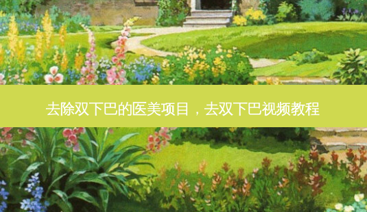 去除双下巴的医美项目，去双下巴视频教程-第1张图片-容颜讯