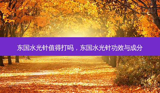 东国水光针值得打吗，东国水光针功效与成分-第1张图片-容颜讯