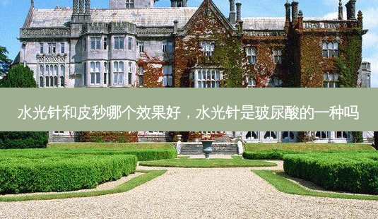 水光针和皮秒哪个效果好，水光针是玻尿酸的一种吗-第1张图片-容颜讯