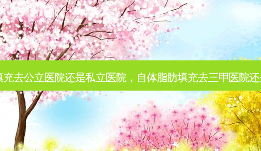 自体脂肪填充去公立医院还是私立医院,自体脂肪填充去三甲医院还是美容医院-第1张图片-容颜讯 自体脂肪填充去公立医院还是私立医院,自体脂肪填充去三甲医院还是美容医院-第1张图片-容颜讯