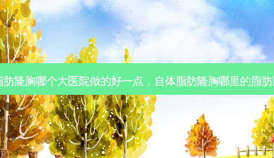 自体脂肪隆胸哪个大医院做的好一点,自体脂肪隆胸哪里的脂肪比较好-第1张图片-容颜讯 自体脂肪隆胸哪个大医院做的好一点,自体脂肪隆胸哪里的脂肪比较好-第1张图片-容颜讯