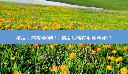 植发后熬夜会掉吗,植发后熬夜毛囊会死吗-第1张图片-容颜讯 植发后熬夜会掉吗,植发后熬夜毛囊会死吗-第1张图片-容颜讯