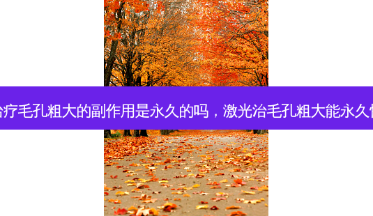 激光毛孔粗大的副作用是永久的吗,激光治毛孔粗大能永久性的吗-第1张图片-容颜讯 激光毛孔粗大的副作用是永久的吗,激光治毛孔粗大能永久性的吗-第1张图片-容颜讯