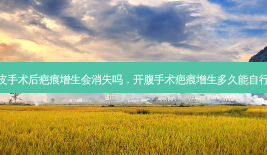 双眼皮手术后疤痕增生会消失吗,开腹手术疤痕增生多久能自行消失-第1张图片-容颜讯 双眼皮手术后疤痕增生会消失吗,开腹手术疤痕增生多久能自行消失-第1张图片-容颜讯