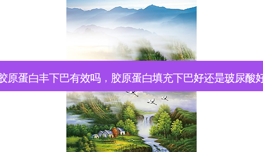 胶原蛋白丰下巴有效吗,胶原蛋白填充下巴好还是玻尿酸好-第1张图片-容颜讯 胶原蛋白丰下巴有效吗,胶原蛋白填充下巴好还是玻尿酸好-第1张图片-容颜讯