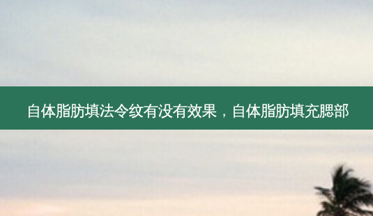 自体脂肪填法令纹有没有效果，自体脂肪填充腮部-第1张图片-容颜讯