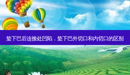 垫下巴后连接处凹陷，垫下巴外切口和内切口的区别-第1张图片-容颜讯