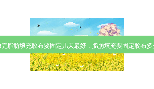 做完脂肪填充胶布要固定几天好,脂肪填充要固定胶布多久-第1张图片-容颜讯 做完脂肪填充胶布要固定几天好,脂肪填充要固定胶布多久-第1张图片-容颜讯