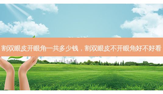 割双眼皮开眼角一共多少钱,割双眼皮不开眼角好不好看-第1张图片-容颜讯 割双眼皮开眼角一共多少钱,割双眼皮不开眼角好不好看-第1张图片-容颜讯