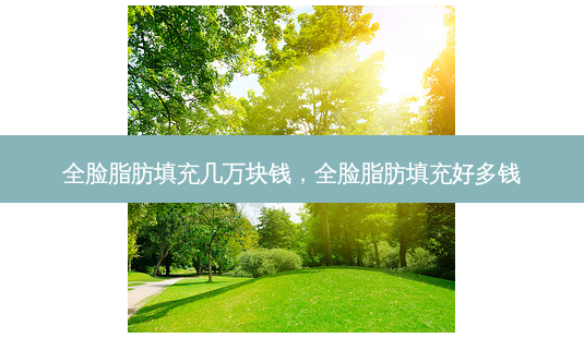 全脸脂肪填充几万块钱，全脸脂肪填充好多钱-第1张图片-容颜讯