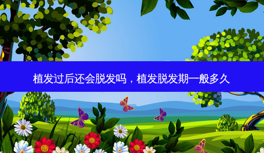 植发过后还会脱发吗,植发脱发期一般多久-第1张图片-容颜讯 植发过后还会脱发吗,植发脱发期一般多久-第1张图片-容颜讯