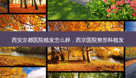 西安京都医院植发怎么样，西京医院整形科植发-第1张图片-容颜讯