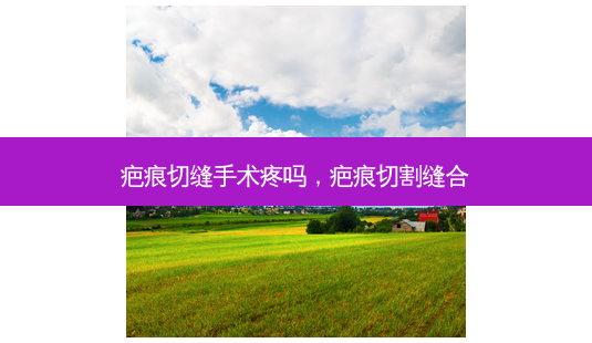 疤痕切缝手术疼吗,疤痕切割缝合-第1张图片-容颜讯 疤痕切缝手术疼吗,疤痕切割缝合-第1张图片-容颜讯