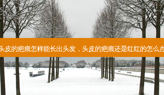 头皮的疤痕怎样能长出头发，头皮的疤痕还是红红的怎么办-第1张图片-容颜讯