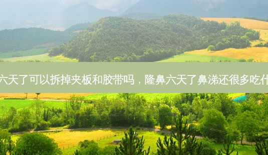 隆鼻六天了可以拆掉夹板和胶带吗，隆鼻六天了鼻涕还很多吃什么药-第1张图片-容颜讯