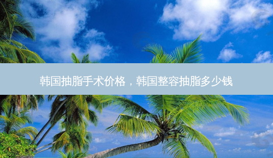 韩国抽脂手术价格,韩国整容抽脂多少钱-第1张图片-容颜讯 韩国抽脂手术价格,韩国整容抽脂多少钱-第1张图片-容颜讯