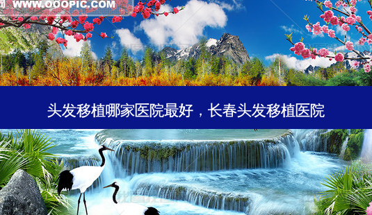 头发移植哪家医院好,长春头发移植医院-第1张图片-容颜讯 头发移植哪家医院好,长春头发移植医院-第1张图片-容颜讯