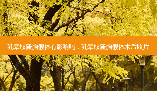 乳晕取隆胸假体有影响吗,乳晕取隆胸假体术后照片-第1张图片-容颜讯 乳晕取隆胸假体有影响吗,乳晕取隆胸假体术后照片-第1张图片-容颜讯
