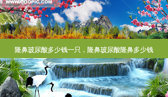 隆鼻玻尿酸多少钱一只，隆鼻玻尿酸隆鼻多少钱-第1张图片-容颜讯