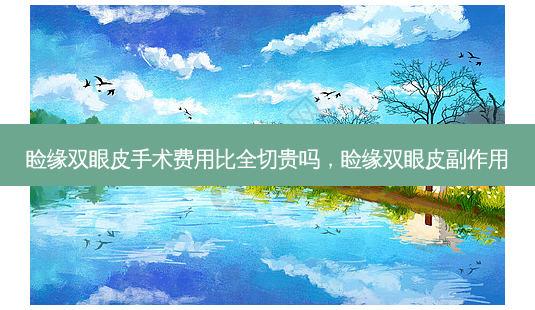 睑缘双眼皮手术费用比全切贵吗,睑缘双眼皮副作用-第1张图片-容颜讯 睑缘双眼皮手术费用比全切贵吗,睑缘双眼皮副作用-第1张图片-容颜讯